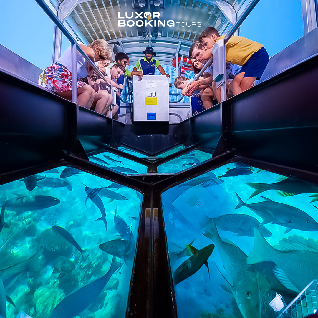 Family Fun in Sharm El Sheikh: A Glass Boat Red Sea Adventure