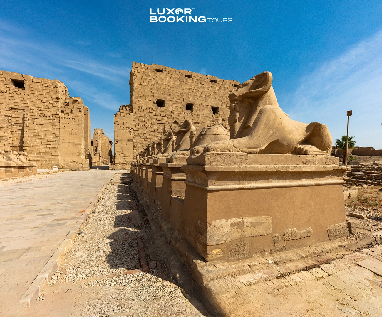 comparison between one day and two day Luxor travel experience