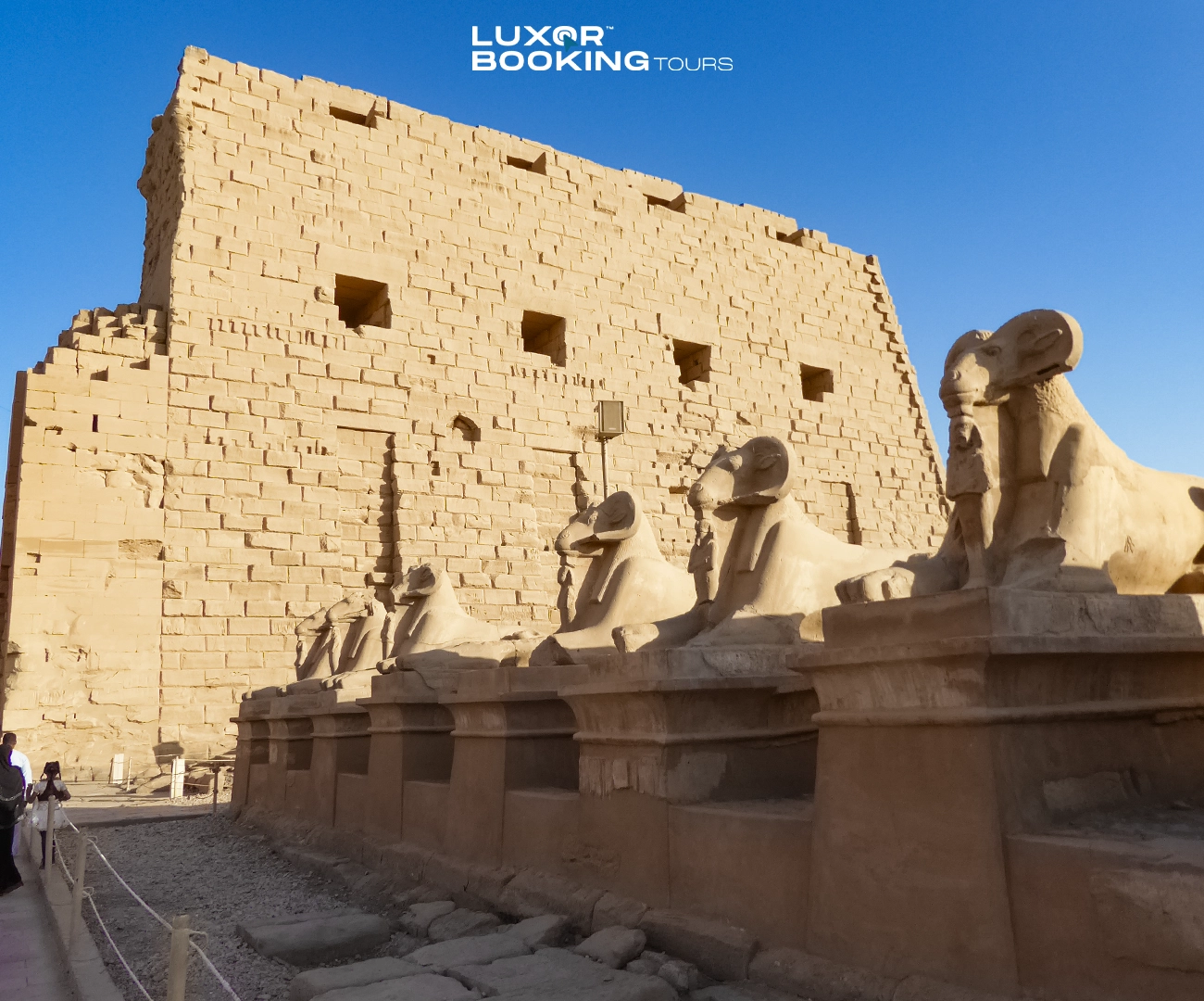 tourist visiting luxor temples in one day trip