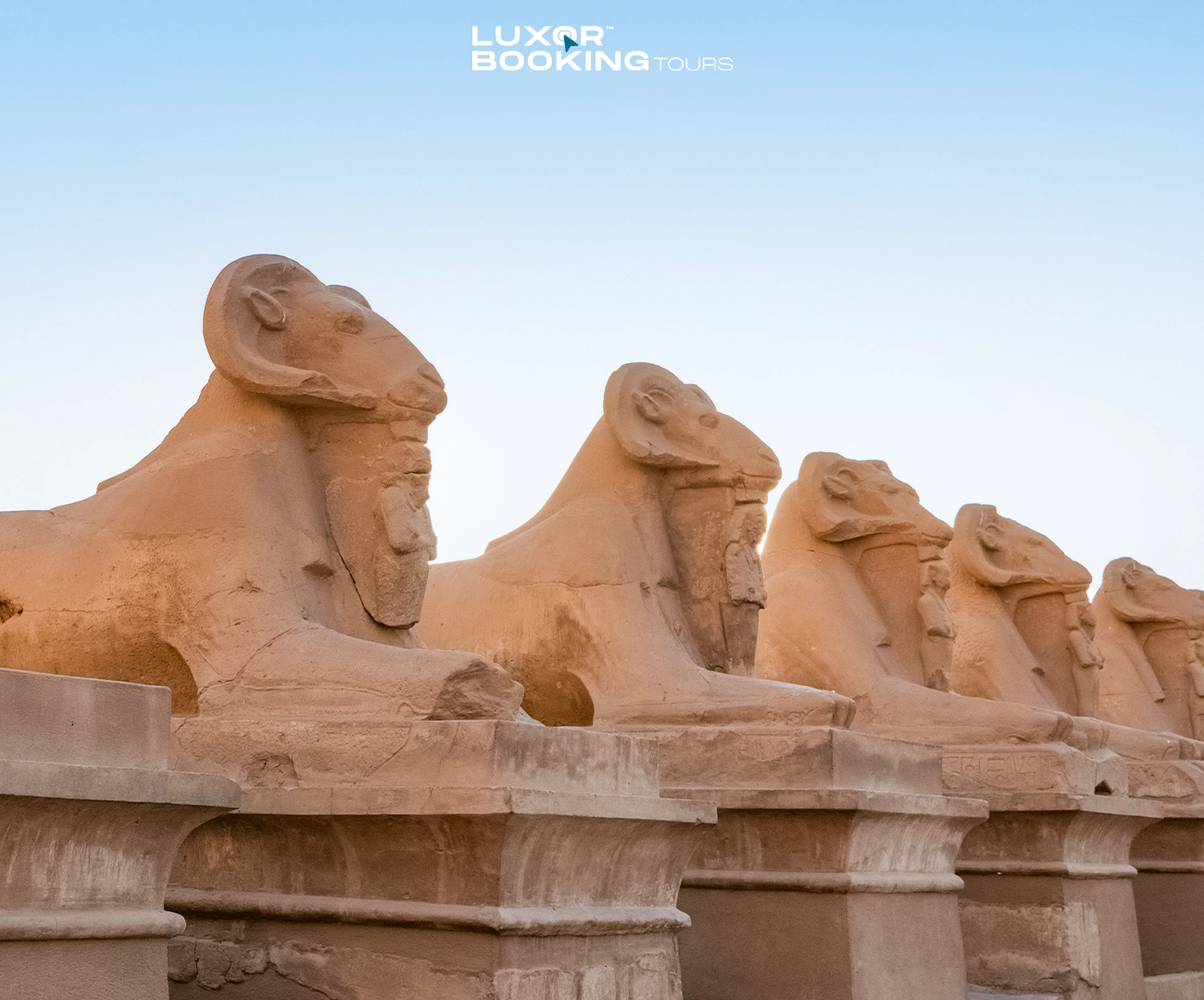 traveler revisiting luxor temple at sunrise second visit