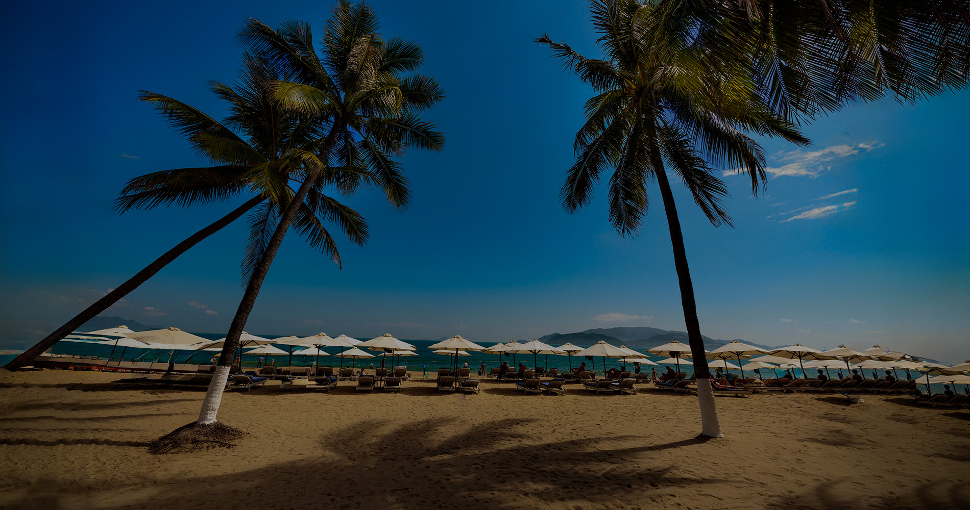 Coral reefs and turquoise Red Sea view