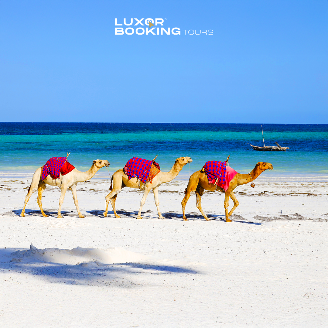 3-Day Marsa Alam Getaway: Sun, Sea and Serenity