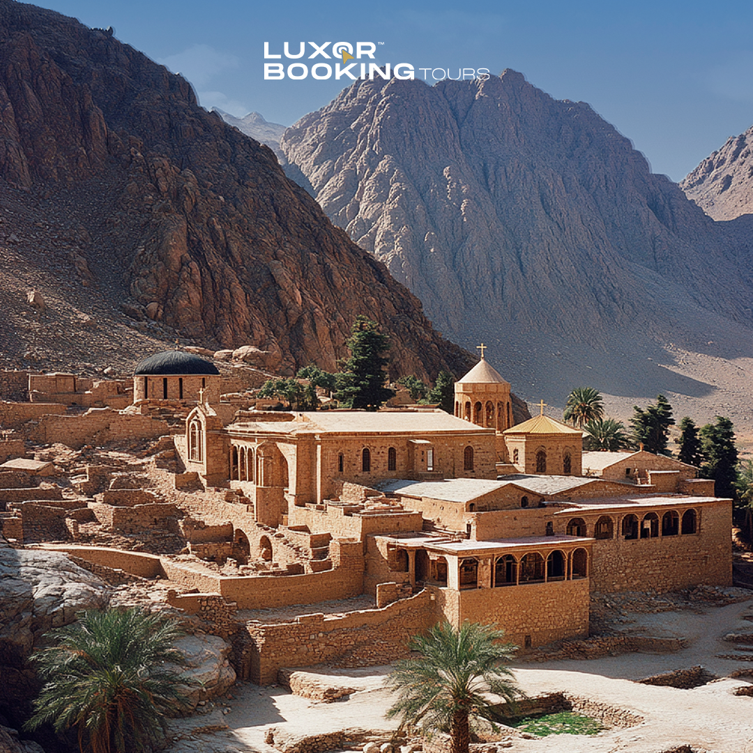 5-Day Sharm El Sheikh Tour: Red Sea Adventure