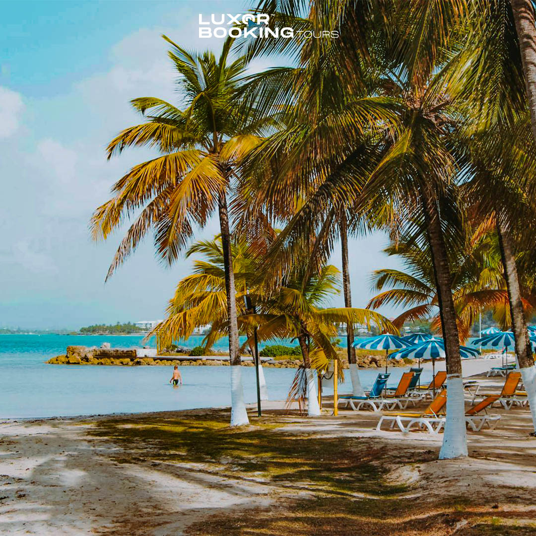 4-Day Marsa Alam-Luxor-Aswan Tour: Temples & Nubian Treasures