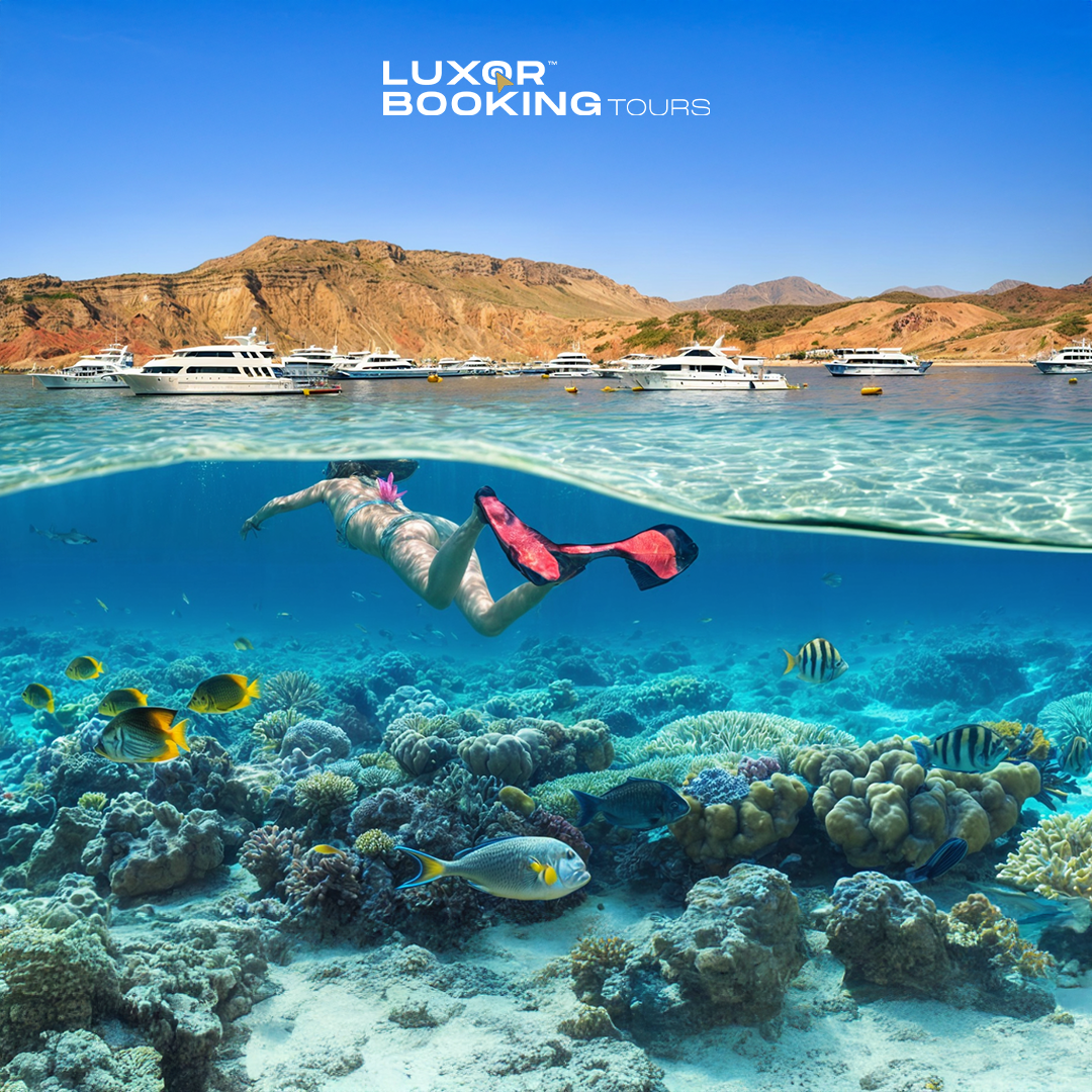 Sharm’s Crystal Reefs & White Sands: Ras Mohamed Adventure