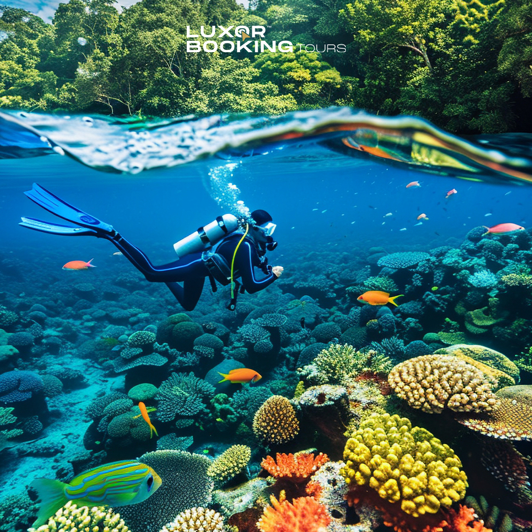 Marsa Alam Diving Adventure–Full-Day Red Sea Excursion