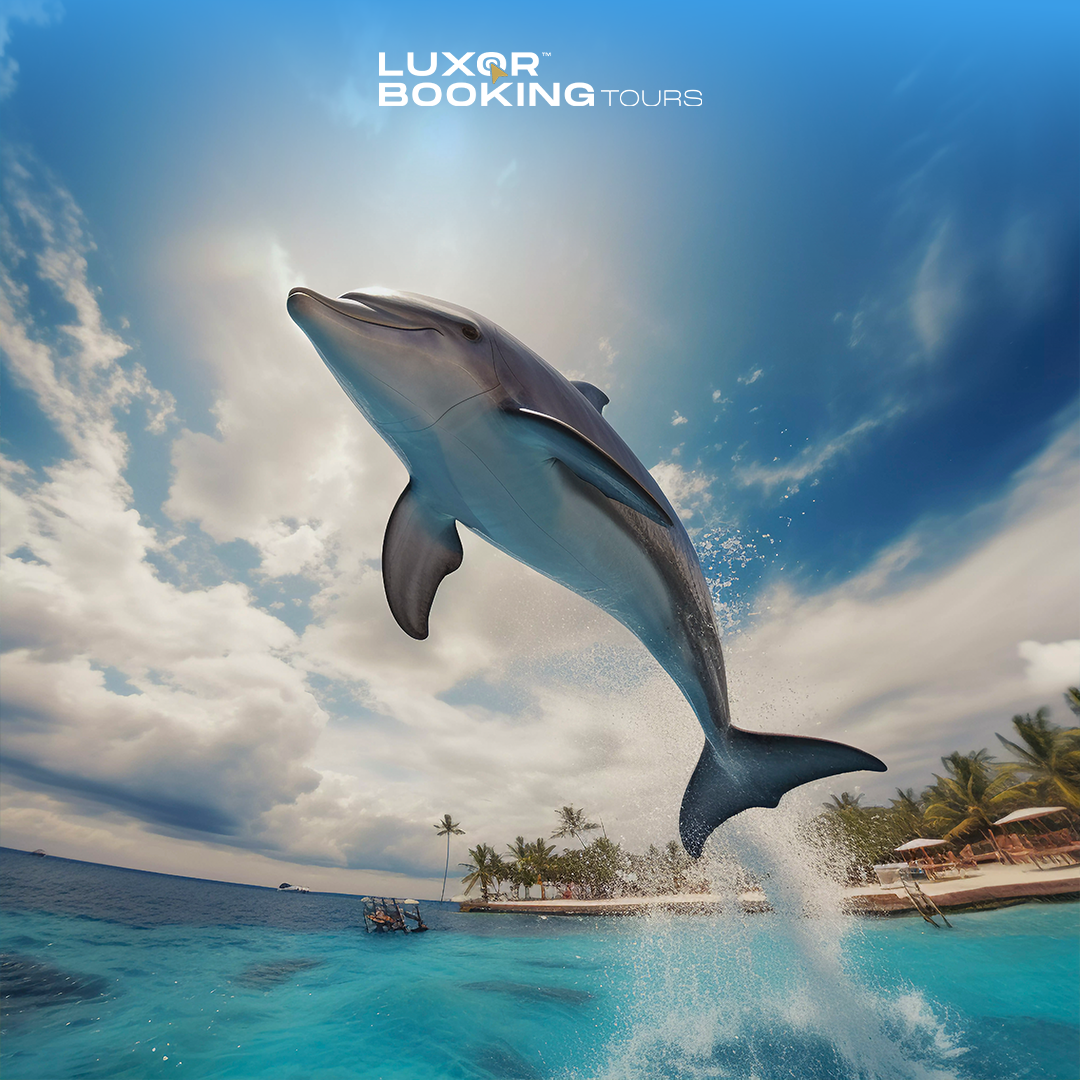 Full Day Dolphin House Excursion – Marsa Alam
