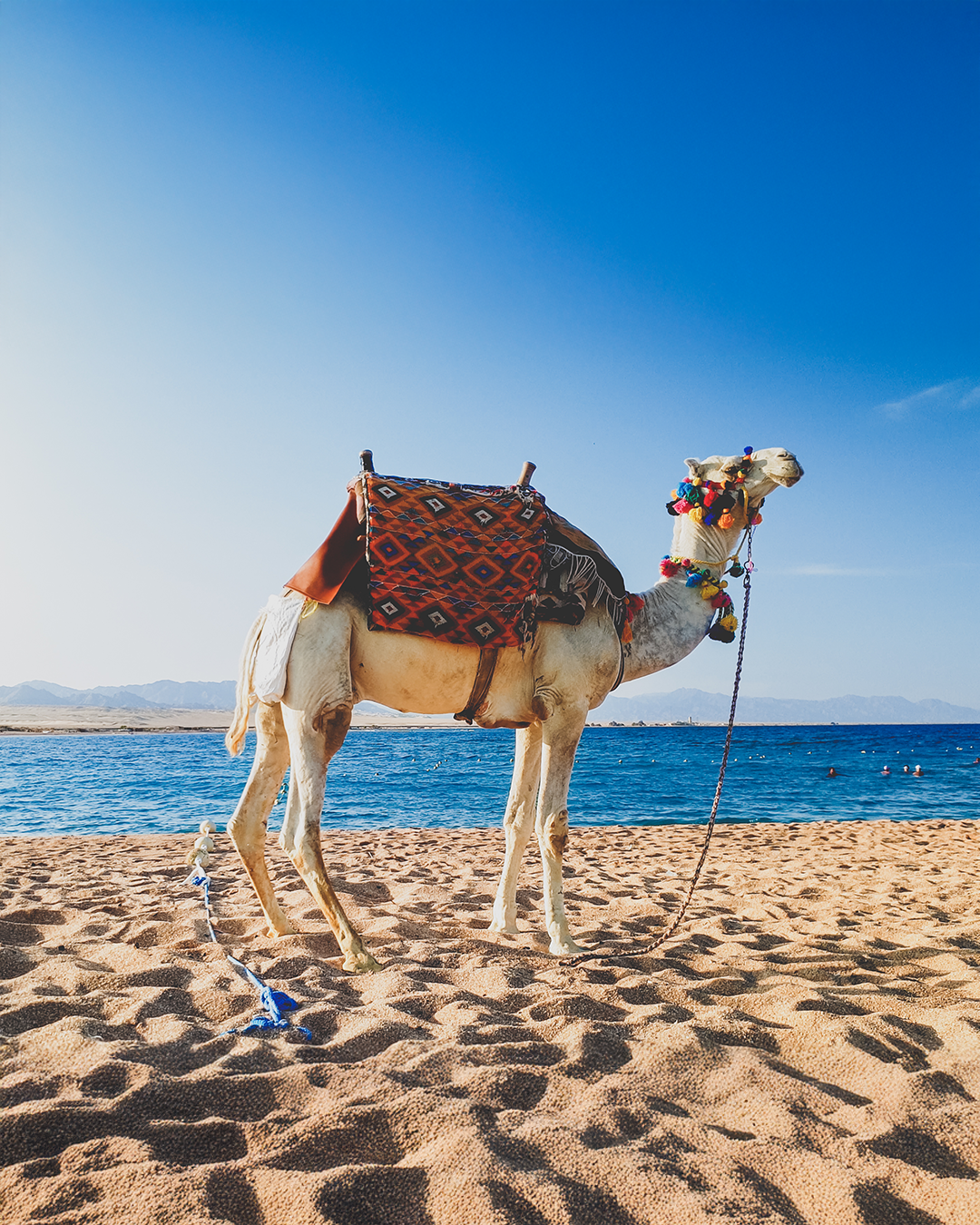 Marsa Alam