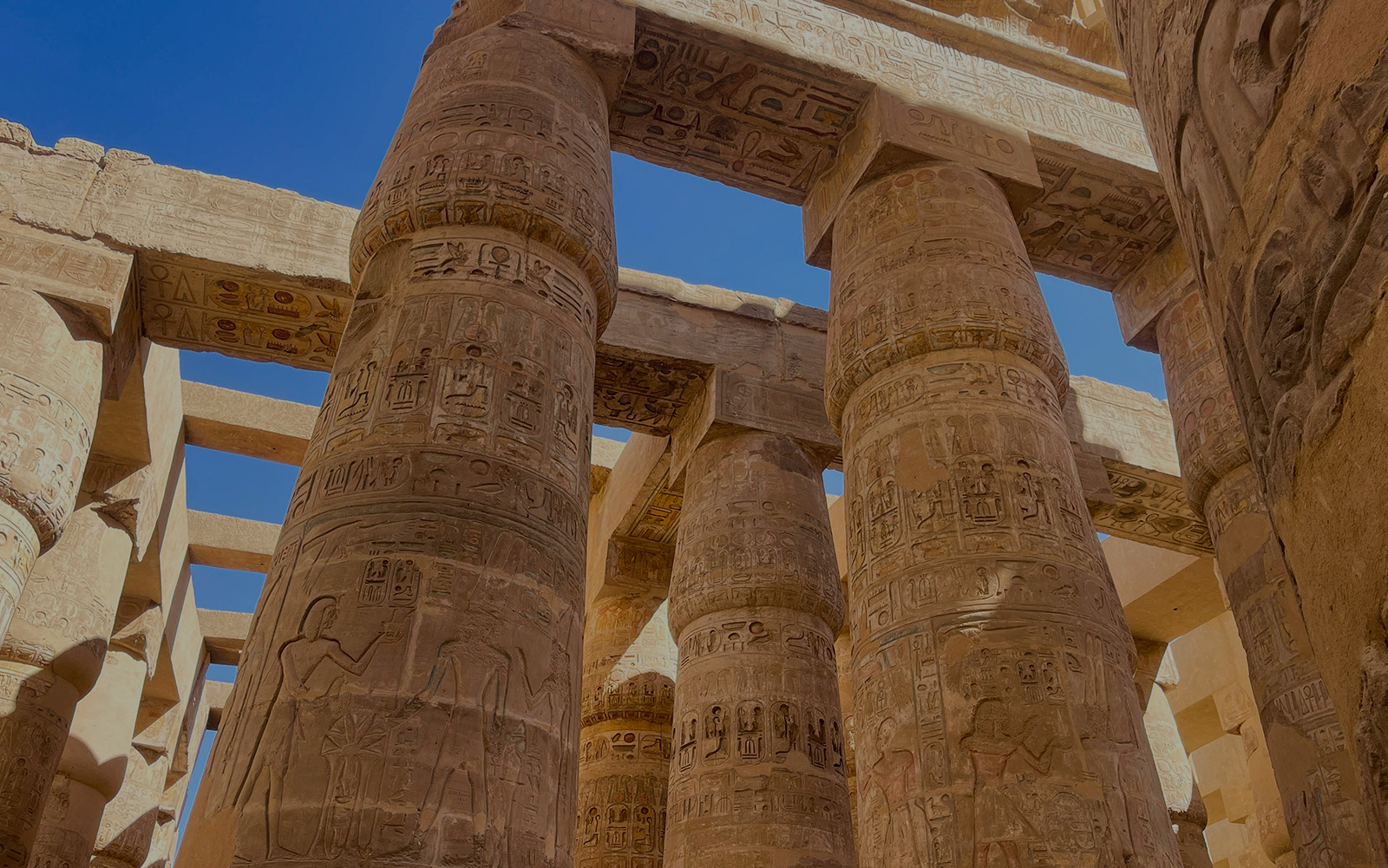 Default Gallery Cover